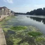 Torino, gli sfalci non liberano il fiume dalle piante
