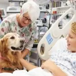 Biella, all’Ospedale i pazienti potranno vedere i propri animali domestici