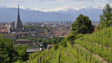 Photo of A Torino “I sabati e le domeniche del Villaggio”, le passeggiate per scoprire la collina