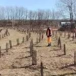 Piantati 1000 alberi a Villaretto contro l’inquinamento