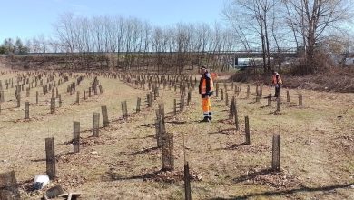 Photo of Piantati 1000 alberi a Villaretto contro l’inquinamento