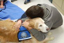 Photo of Tante novità per le attività di pet therapy al Regina Margherita