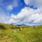Bandiere Verdi 2023: il Piemonte è la Regione più green