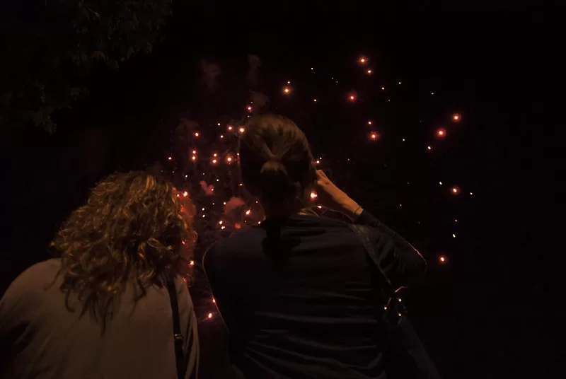 due persone guardano i fuochi d'artificio