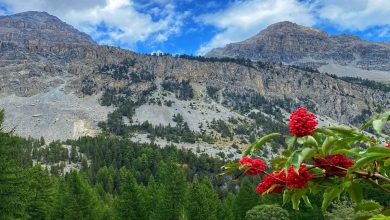 Photo of La Valle Stretta: un paradiso naturale da esplorare a poca distanza da Torino