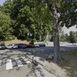 Parco del Valentino: stop alle automobili e 500 pisntati nuovi alberi