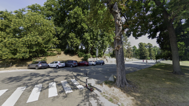 Photo of Parco del Valentino: stop alle automobili e 500 pisntati nuovi alberi