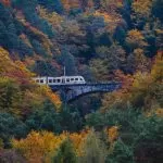 Treno del Foliage® 2023: un Viaggio Autunnale tra Italia e Svizzera