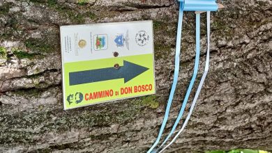 Photo of Il Cammino di Don Bosco: 200 chilometri alla scoperta del Piemonte