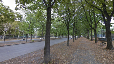 Photo of Il Parco Ruffini: un’oasi verde nel cuore di Torino