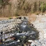 Torrente Prebec: la forza erosiva dell’acqua in Val di Susa