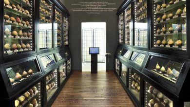 Photo of Museo della Frutta di Torino: un viaggio particolare a San Salvario