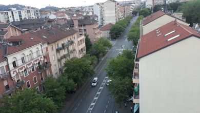 Photo of Corso Belgio: abbattuti 14 aceri pericolosi a Torino
