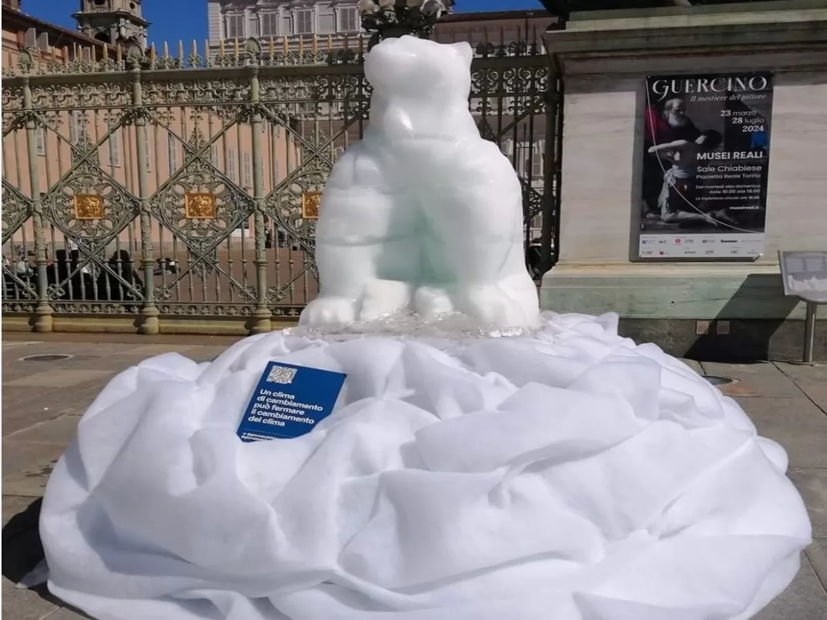 Perchè c’è una statua un orso polare di ghiaccio in piazza Castello?