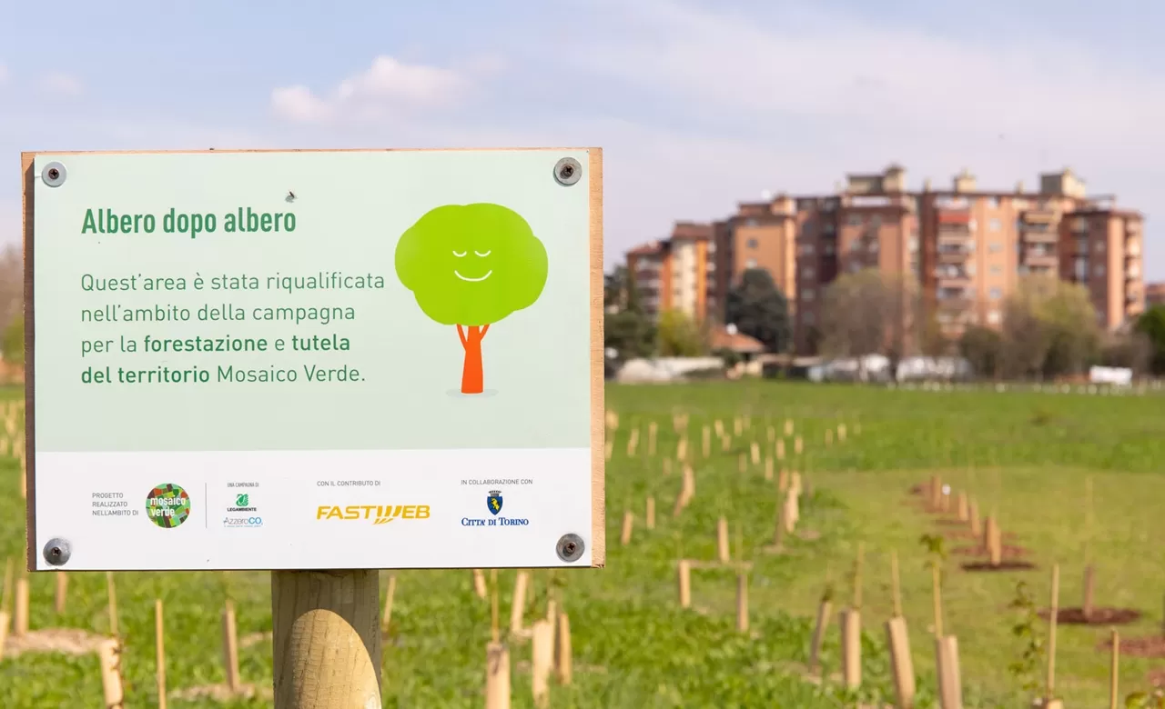 Fastweb pianta 1000 alberi nel Parco Piemonte a Torino