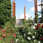 Riqualificazione del roseto di Parco Dora: un’oasi urbana a Torino