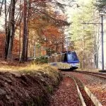 Treno del Foliage 2024: alla scoperta della bellezza dell’autunno