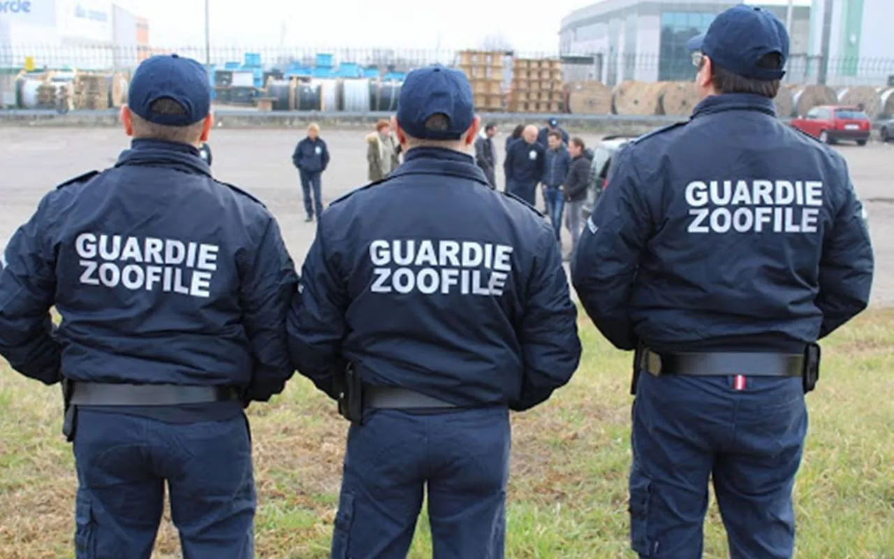 Tre guardie zoofile in uniforme, viste di spalle, durante un controllo sul territorio. Sullo sfondo, persone e veicoli in un'area industriale.
