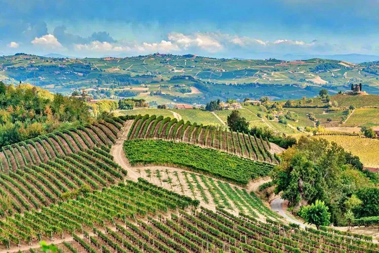 Vigneti delle Langhe in Piemonte con colline coltivate a filari, paesaggio vitivinicolo patrimonio UNESCO