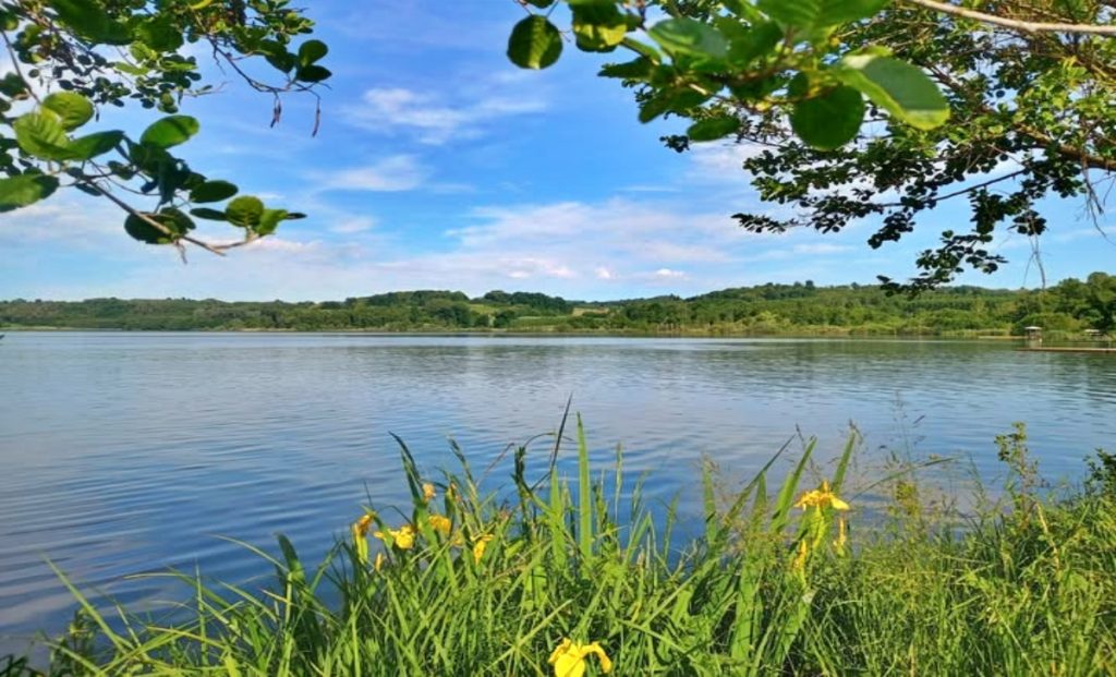 Veduta del Lago di Candia con vegetazione e fiori gialli in primo piano, colline verdi e cielo azzurro sullo sfondo