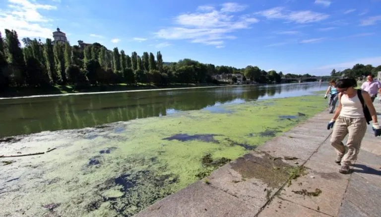 Pulizia del fiume Po a Torino nell’agosto 2025, con operatori impegnati nella rimozione di alghe e rifiuti lungo i Murazzi