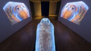 Proiezione multimediale su un sarcofago egizio al Museo Egizio di Torino, con immagini del volto del defunto proiettate sulle pareti