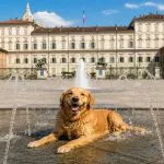 Caldo anomalo a Torino a fine maggio 2026: temperature estive e disagio bioclimatico in aumento