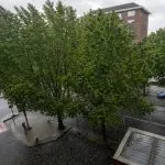 Grandinata Torino 15 maggio 2026: bomba d’acqua improvvisa nel centro città all’ora di pranzo