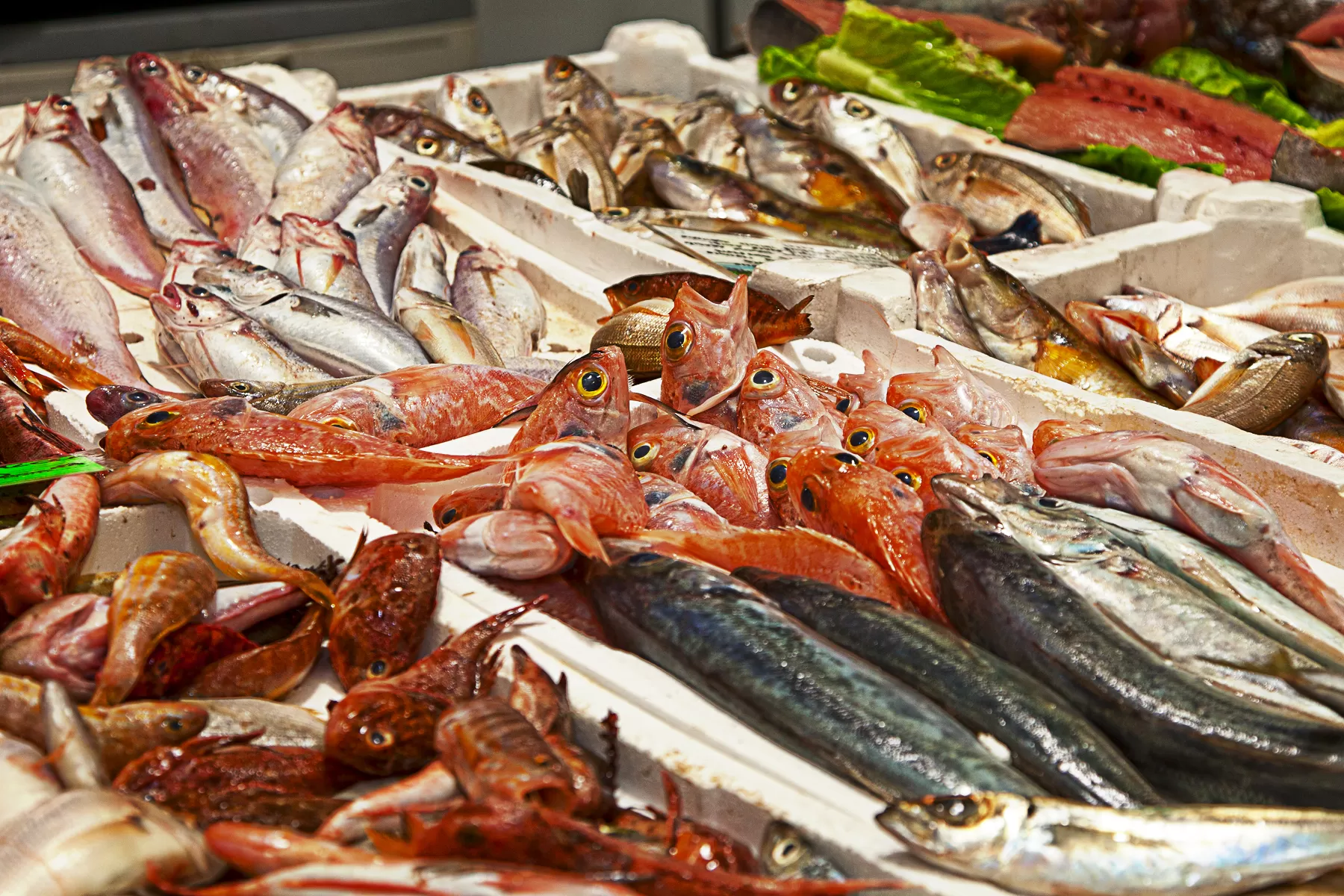Fish product. Праздник семи рыб (festa dei sette pesci) - Италия. Рыба в ассортименте. Рыба на прилавке. Рыбный прилавок.